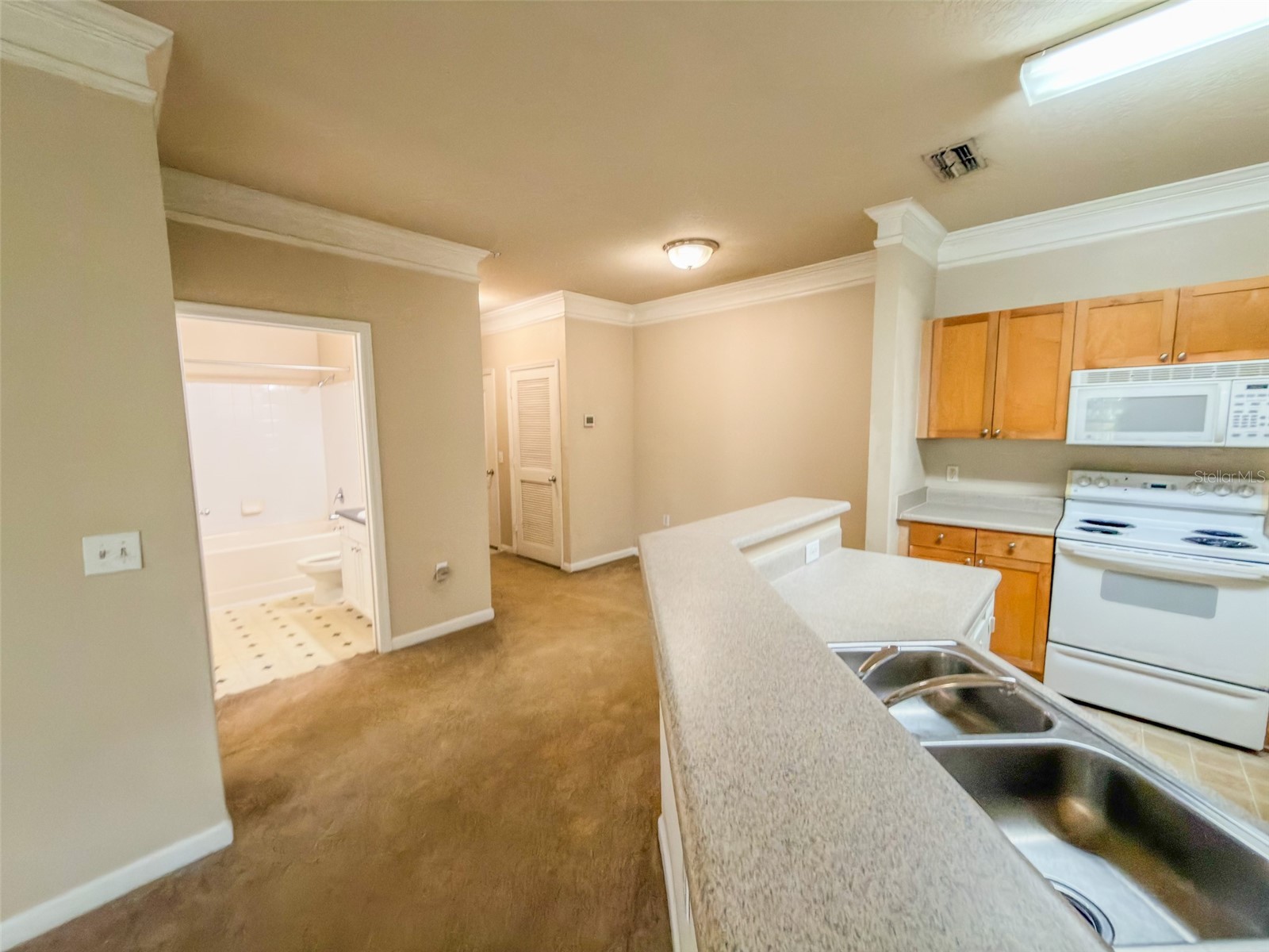 8818 Villa View Circle #204 Orlando FL 32821 S5150746 image10