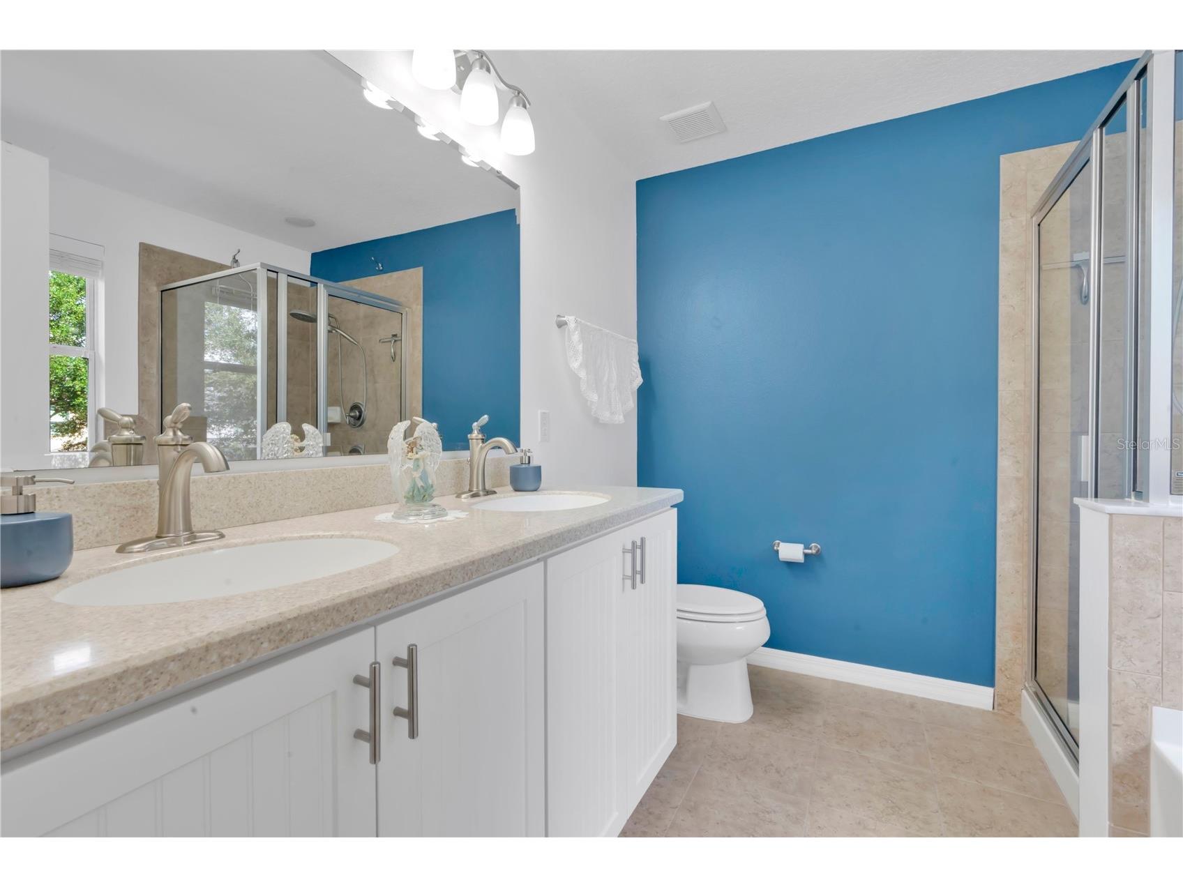 8819 Tatara Street Orlando FL 32836 O6415748 image22
