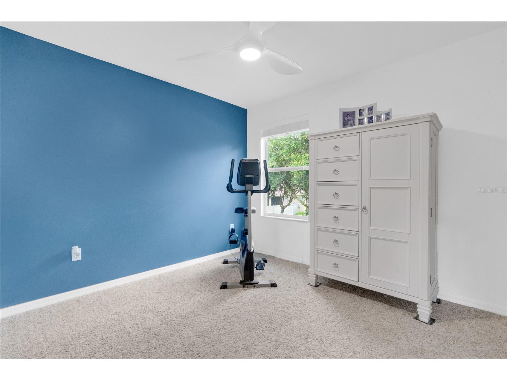 8819 Tatara Street Orlando FL 32836 O6415748 image30
