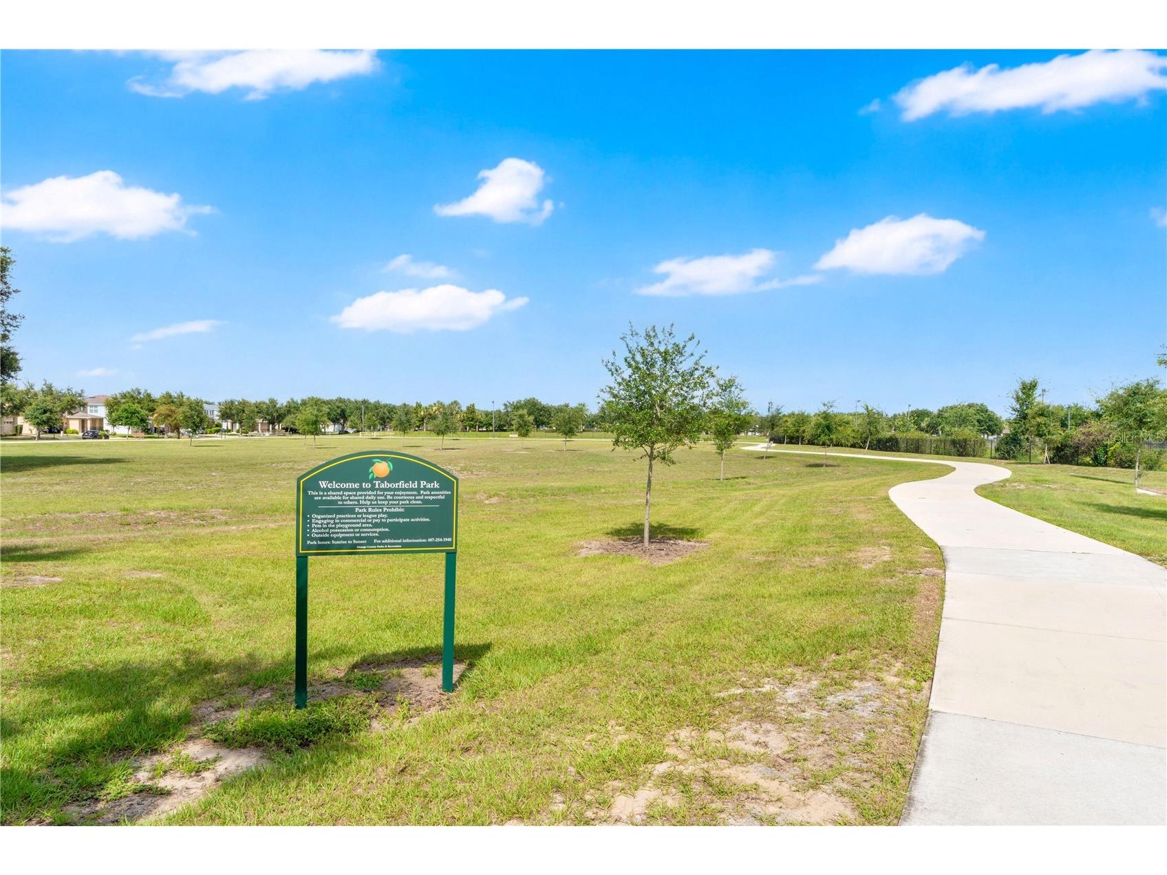 8819 Tatara Street Orlando FL 32836 O6415748 image46