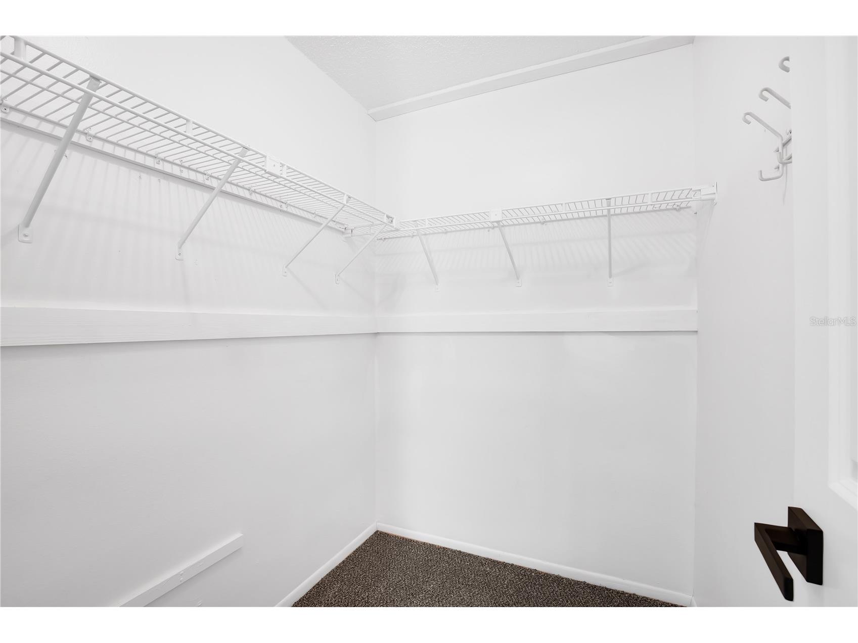 8819 Woodmont Lane Port Richey FL 34668 TB8494314 image20