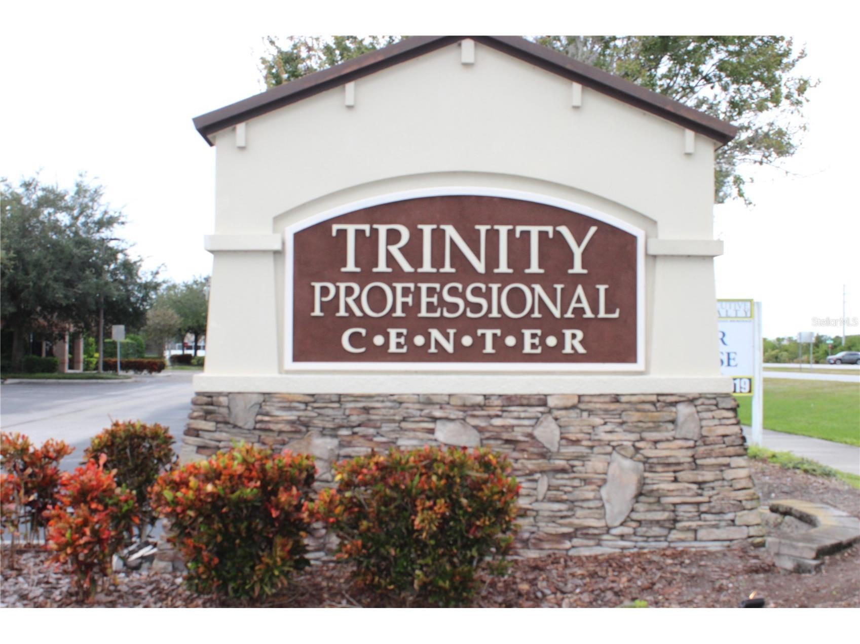 8820 Belagio Drive New Port Richey FL 34655 TB8469617 image2