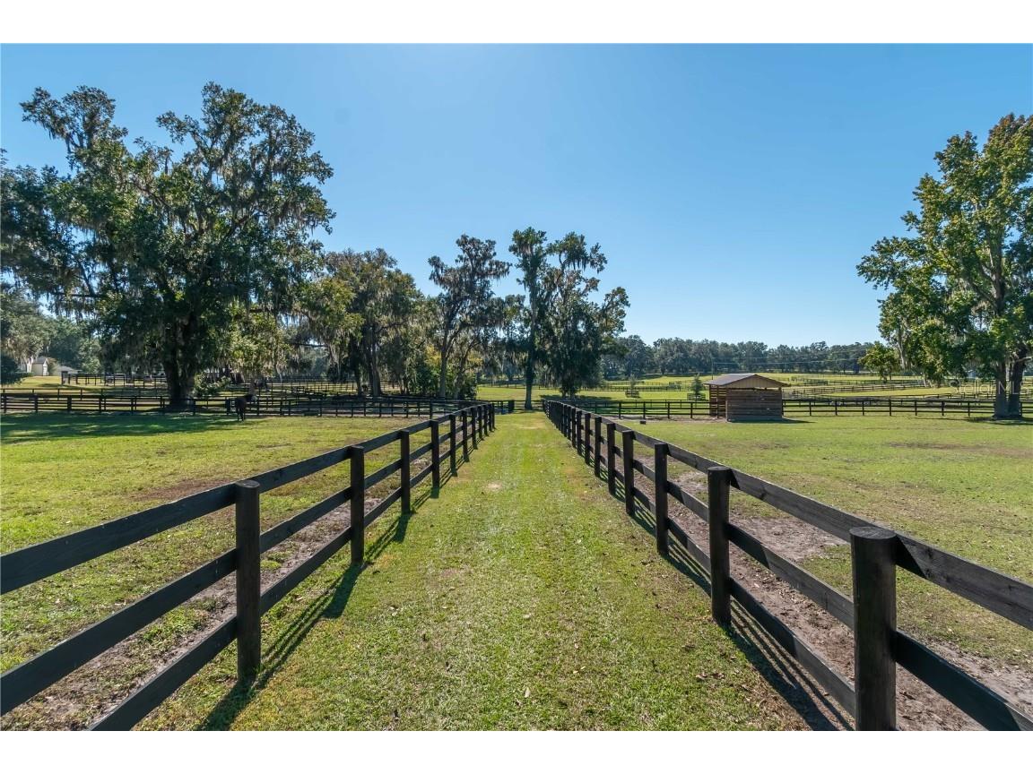 8820 NW 130th Street Reddick FL 32686 OM713052 image51