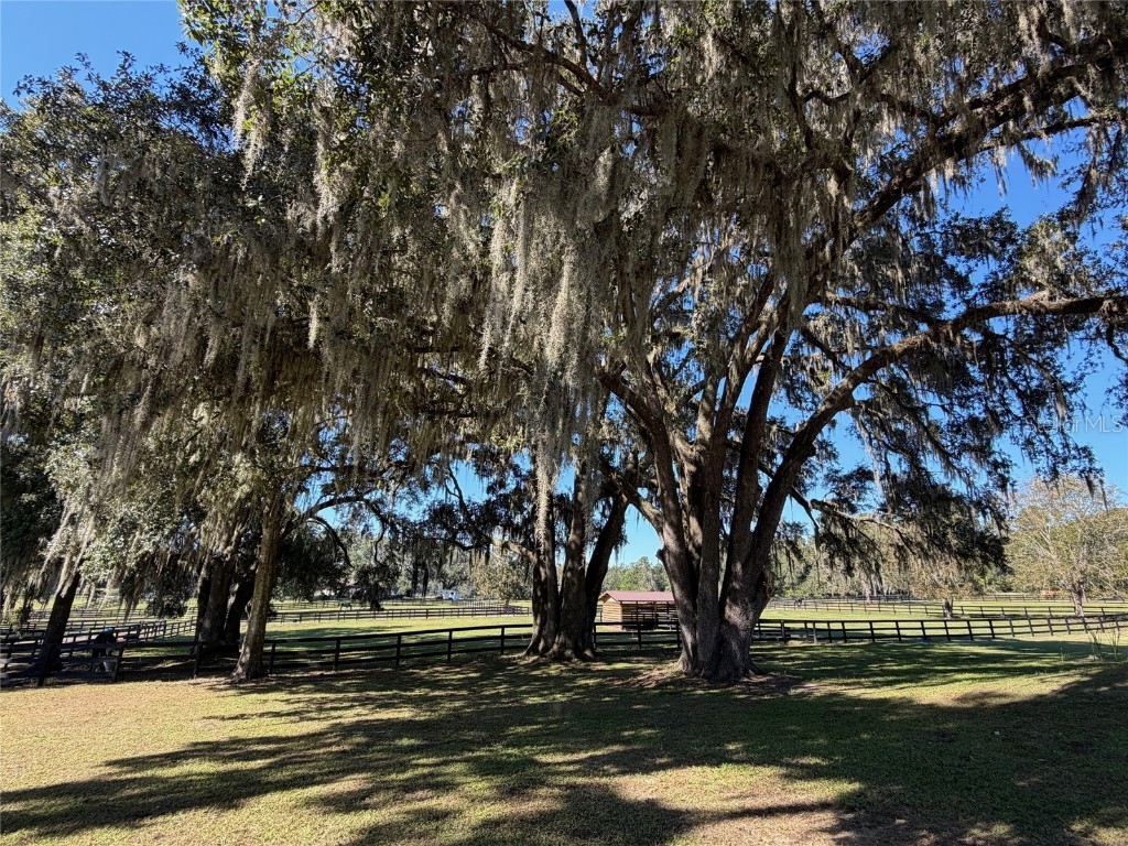 8820 NW 130th Street Reddick FL 32686 OM713052 image63