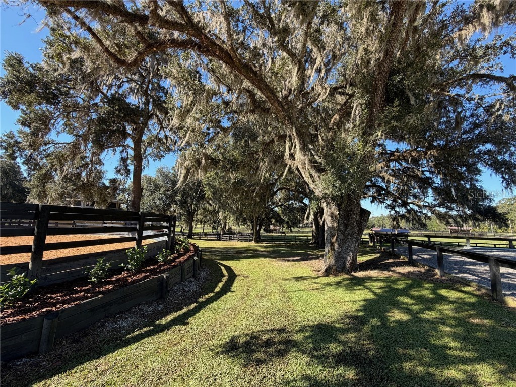 8820 NW 130th Street Reddick FL 32686 OM713052 image64