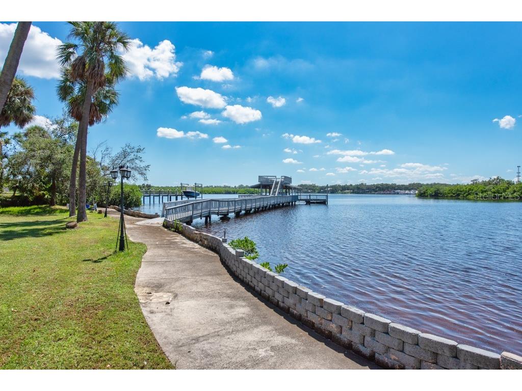 8820 S Hickory Lane Riverview FL 33578 TB8365558 image71