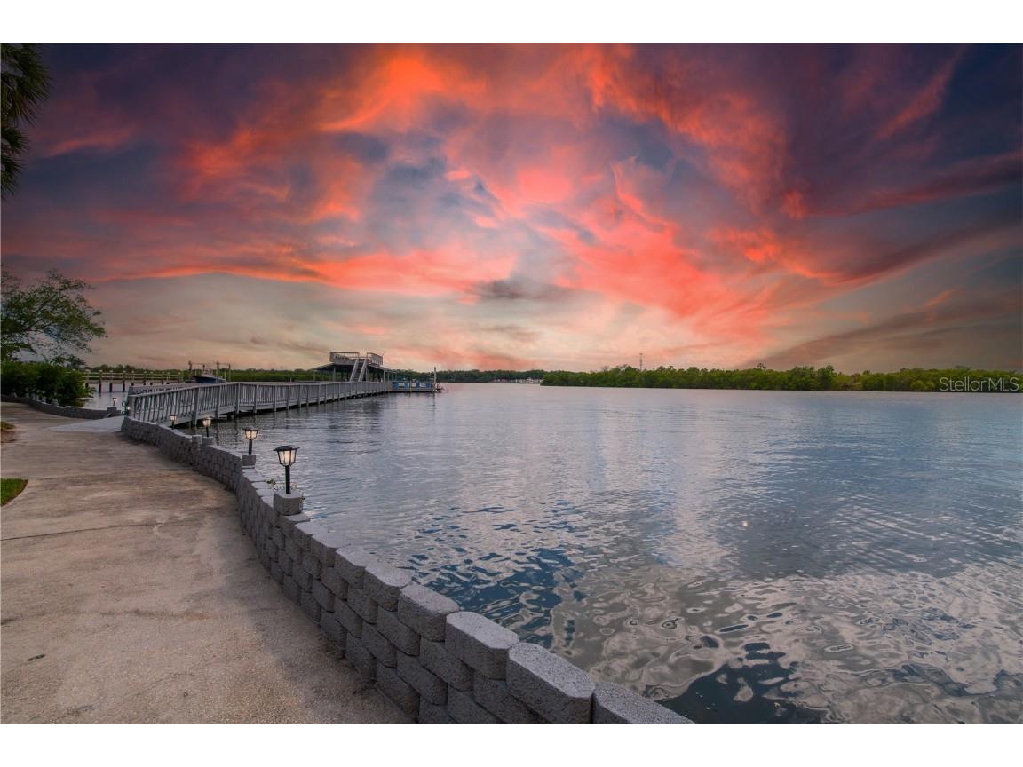 8820 S Hickory Lane Riverview FL 33578 TB8365558 image72