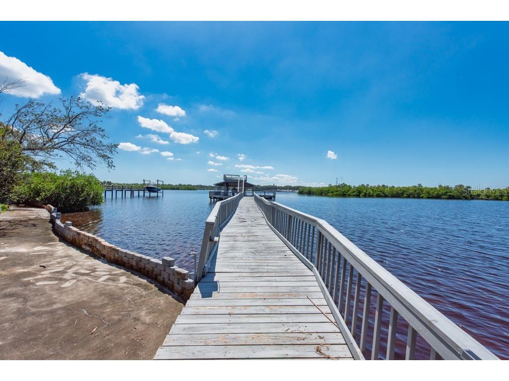 8820 S Hickory Lane Riverview FL 33578 TB8365558 image73