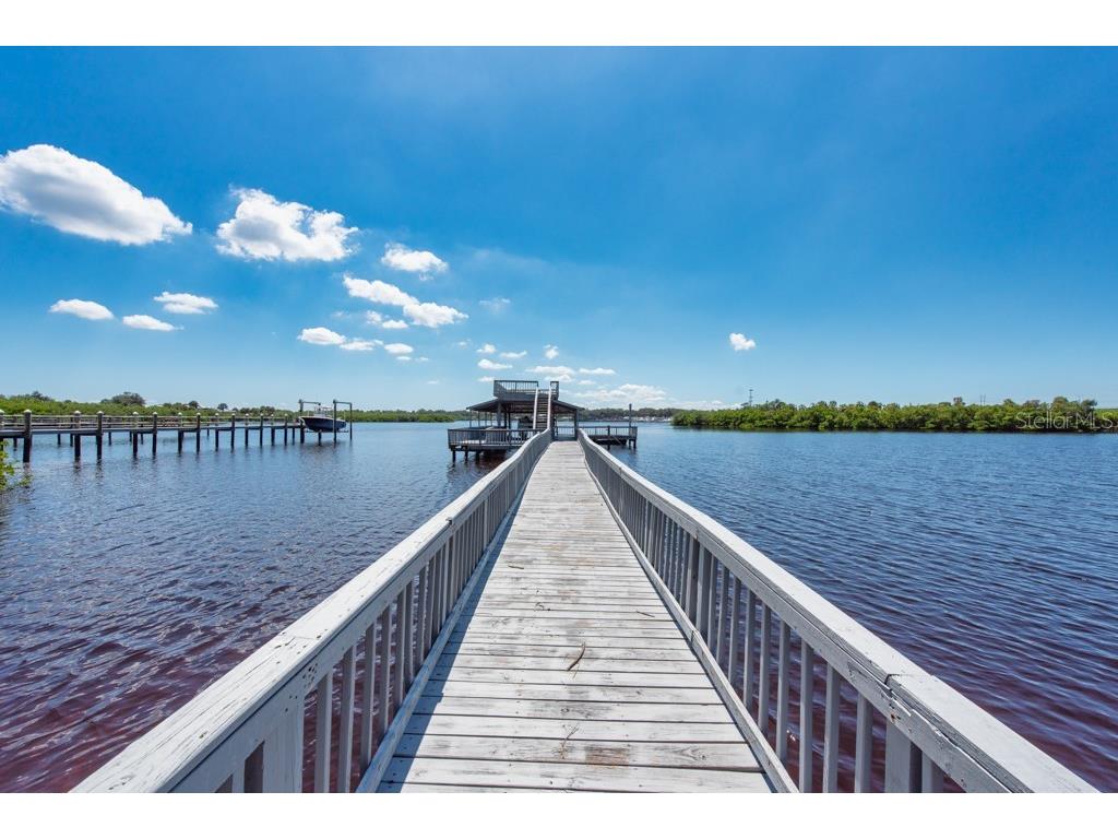 8820 S Hickory Lane Riverview FL 33578 TB8365558 image74