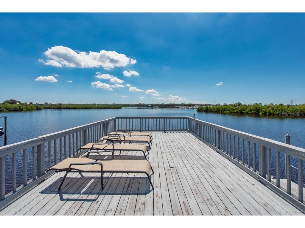 8820 S Hickory Lane Riverview FL 33578 TB8365558 image77