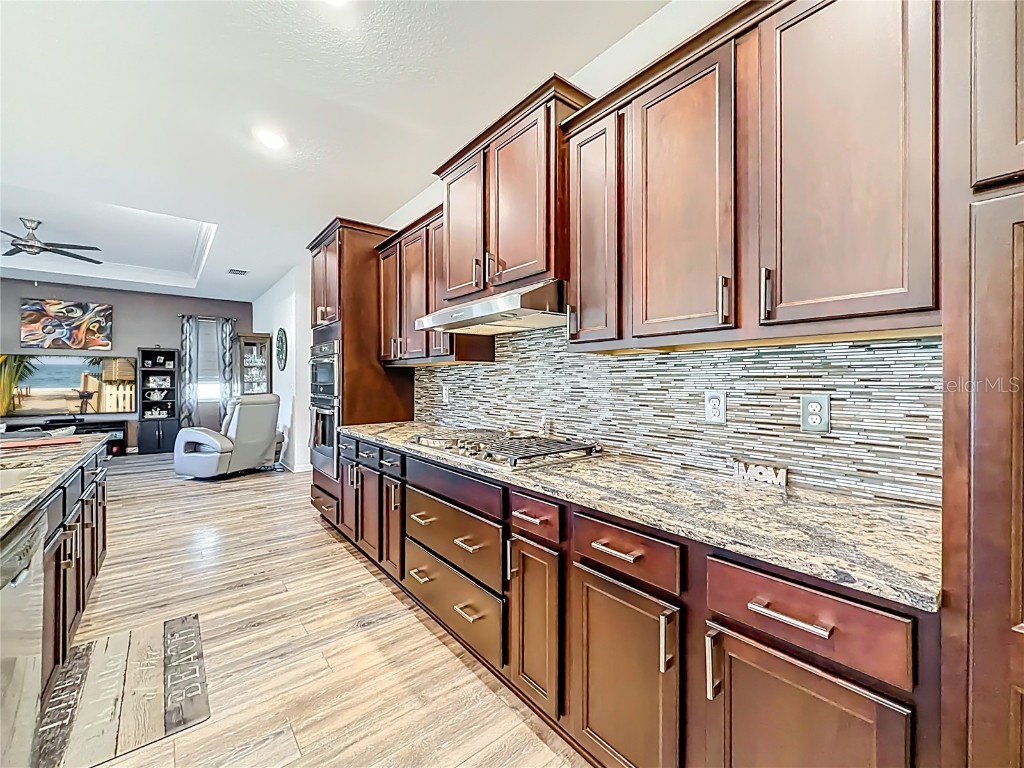 8820 SW 104th Circle Ocala FL 34481 OM715078 image9