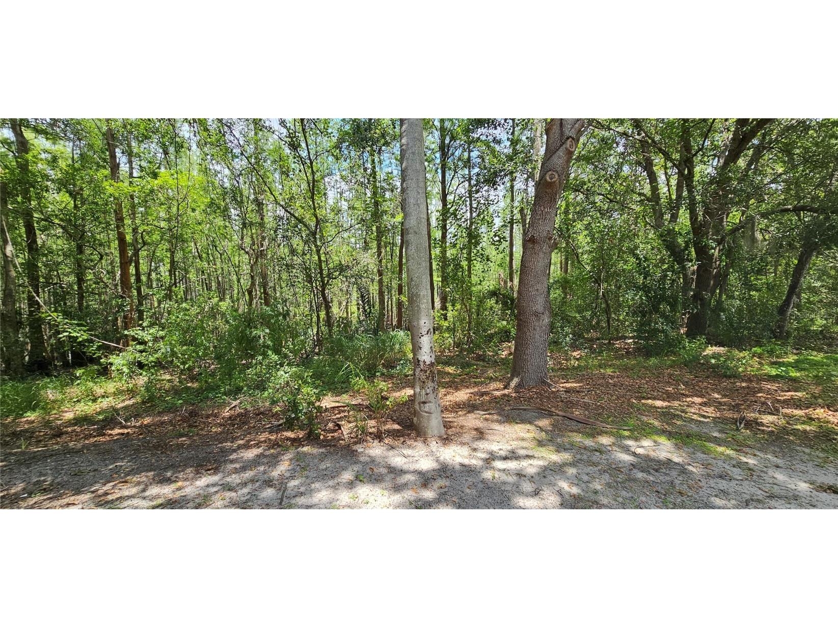 8821 Coral Palms Court #A Kissimmee FL 34747 S5129043 image27