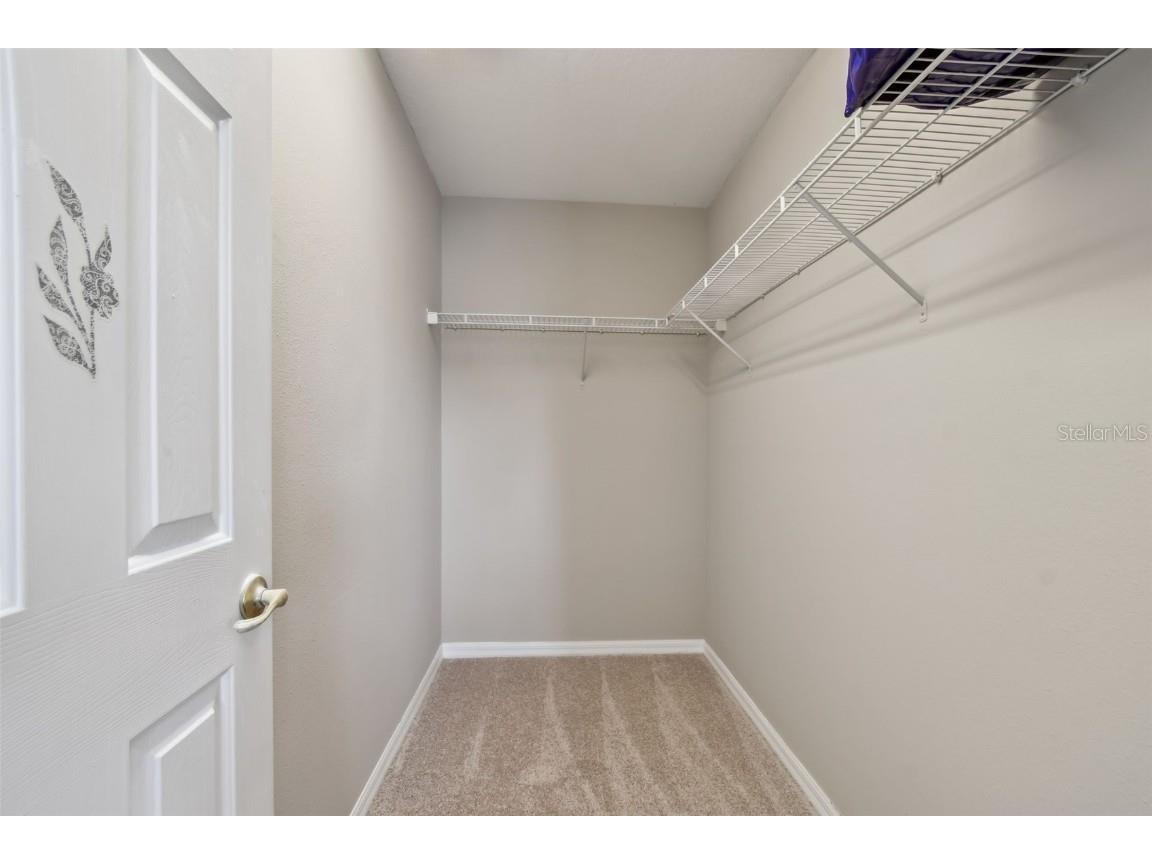 8821 N River Road Tampa FL 33635 TB8411953 image29