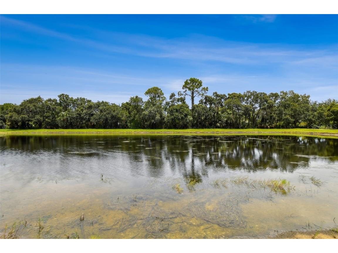 8821 N River Road Tampa FL 33635 TB8411953 image52