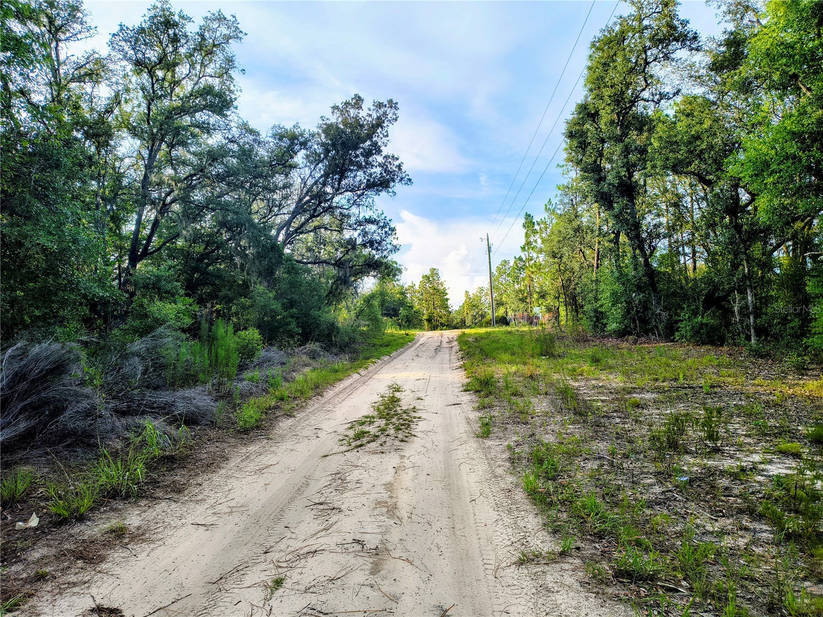 8821 NE 97th Court Bronson FL 32621 OM727413 image3