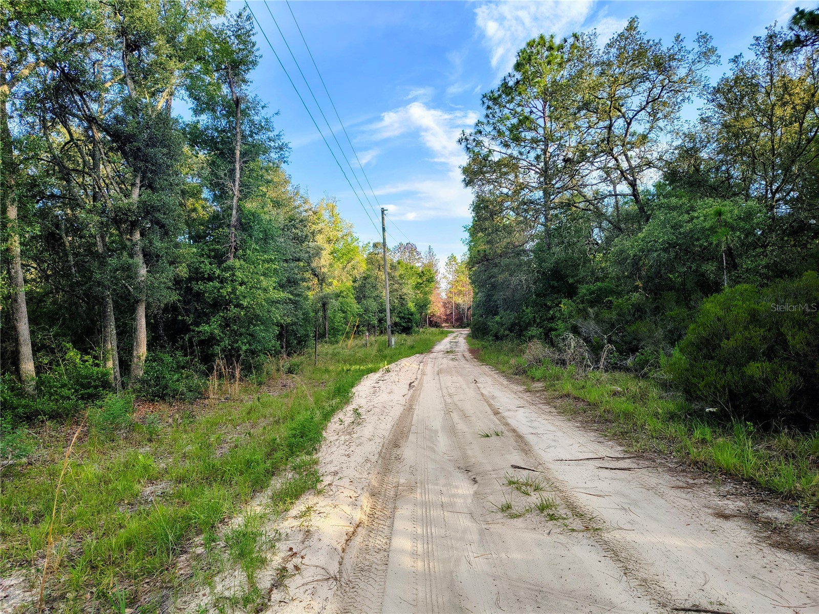 8821 NE 97th Court Bronson FL 32621 OM727413 image4