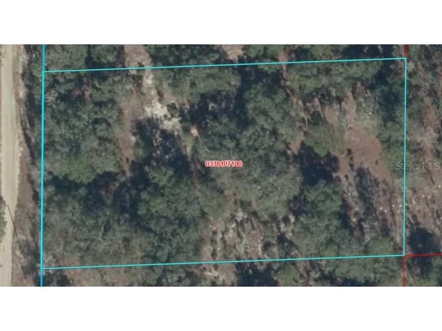 8821 NE 97th Court Bronson FL 32621 OM727413 image5