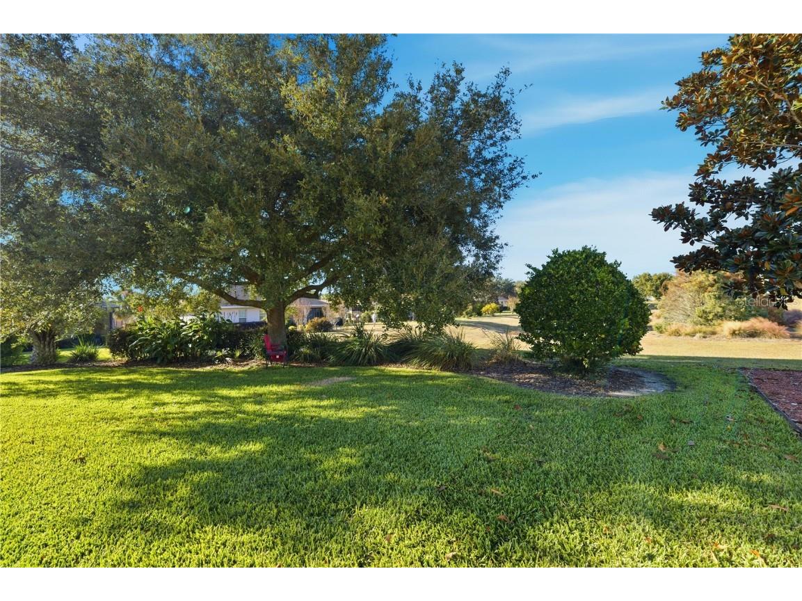 8821 SW 82nd Court Road Ocala FL 34481 OM713686 image32