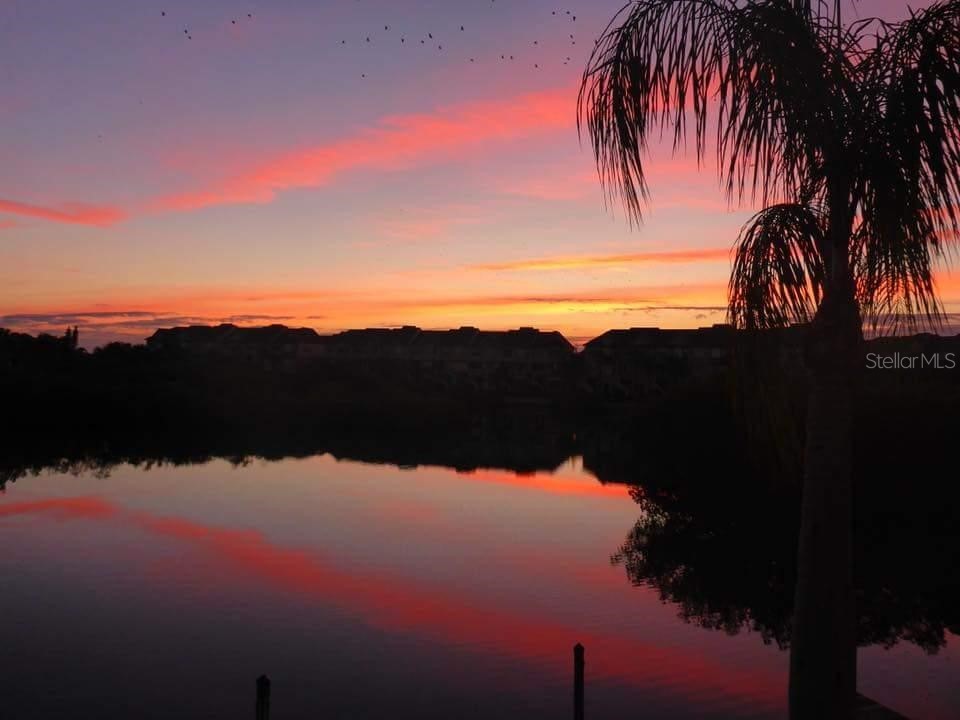 8822 Bay Pointe Drive #104 Tampa FL 33615 TB8474573 image13