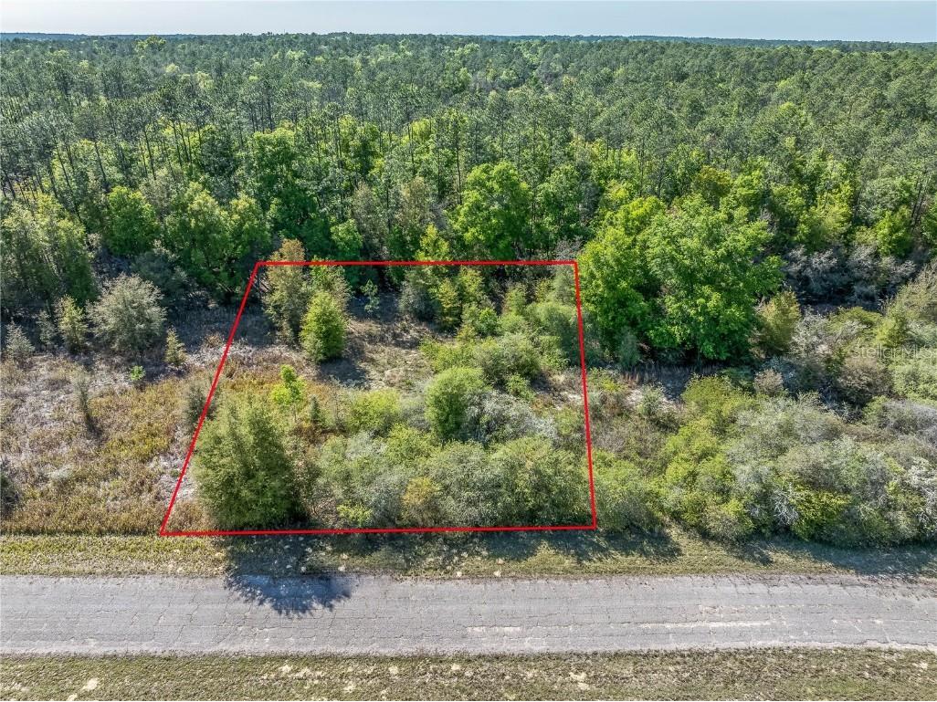 8822 N Elida Avenue Citrus Springs FL 34434 C7489845 image1