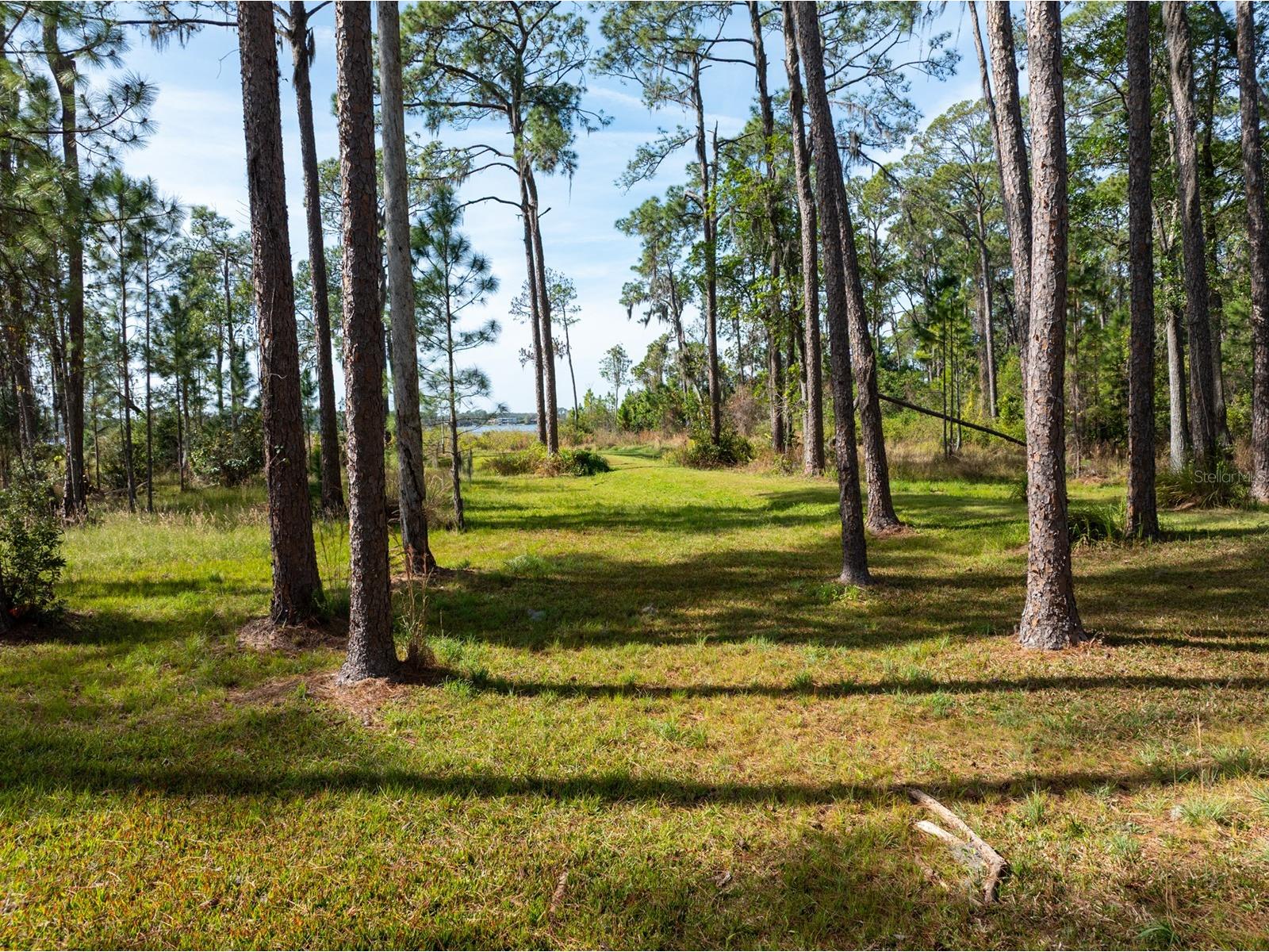 8822 Winter Garden Vineland Road Orlando FL 32836 - LAKE MABEL G5107287 image15