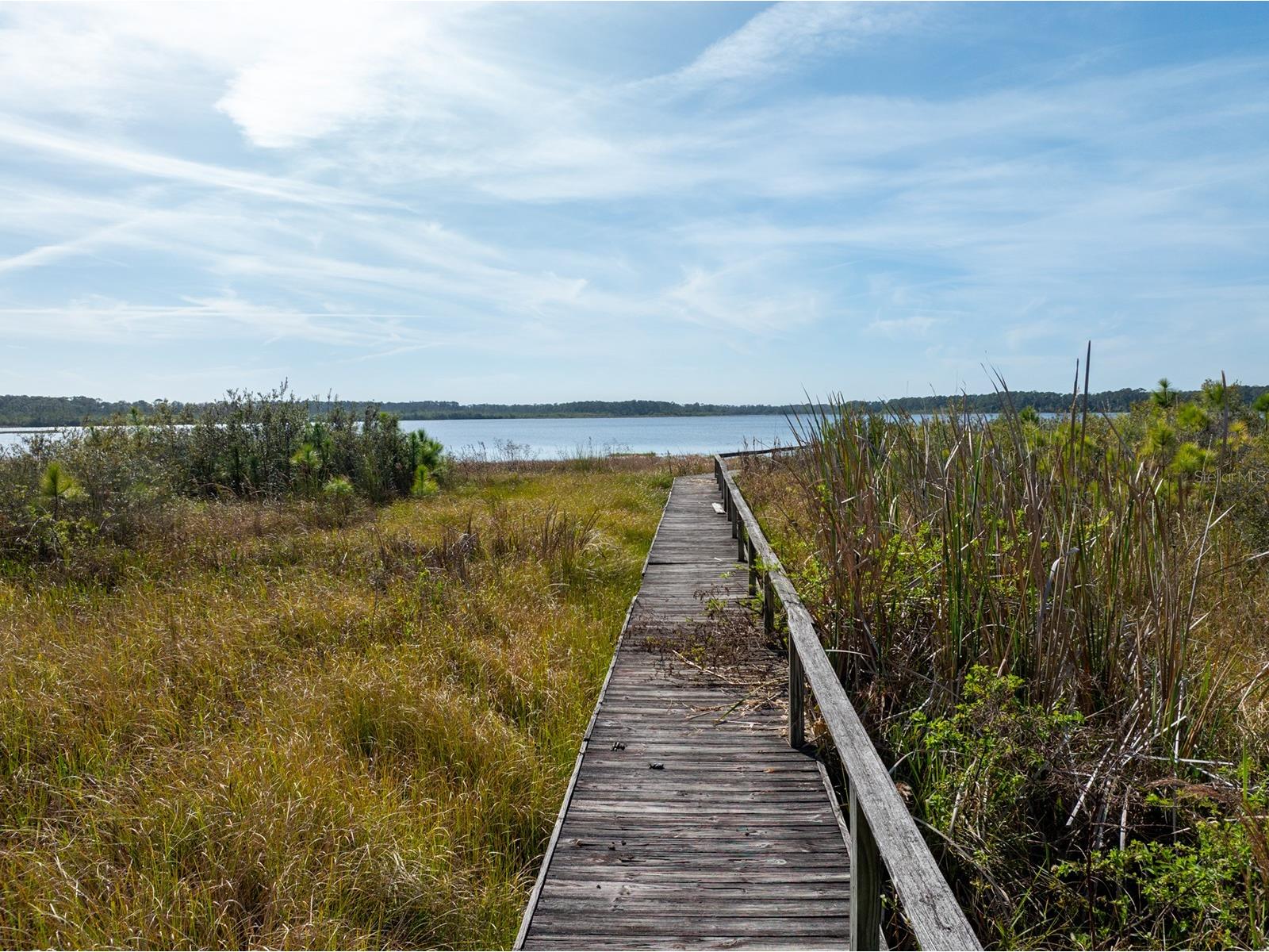 8822 Winter Garden Vineland Road Orlando FL 32836 - LAKE MABEL G5107287 image16