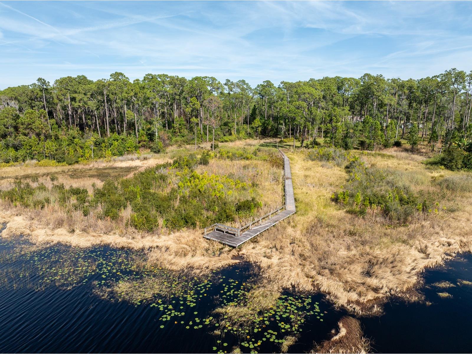 8822 Winter Garden Vineland Road Orlando FL 32836 - LAKE MABEL G5107287 image6