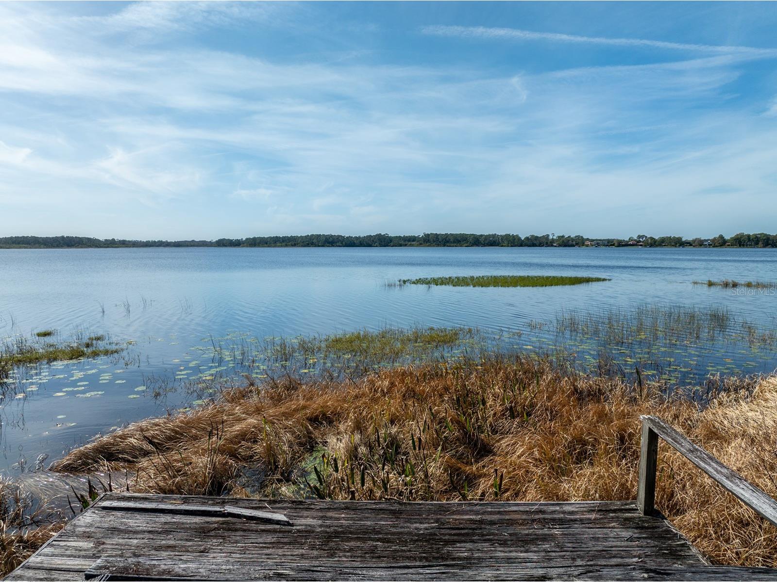 8822 Winter Garden Vineland Road Orlando FL 32836 - LAKE MABEL G5107287 image7