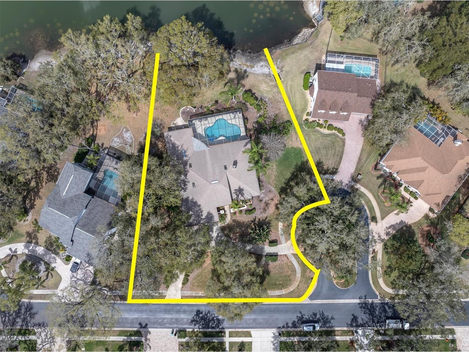 8823 Crescent Forest Boulevard New Port Richey FL 34654 W7883606 image3