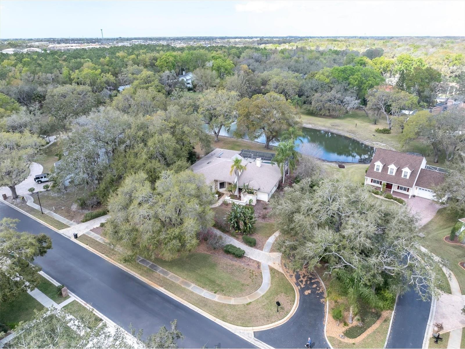 8823 Crescent Forest Boulevard New Port Richey FL 34654 W7883606 image4