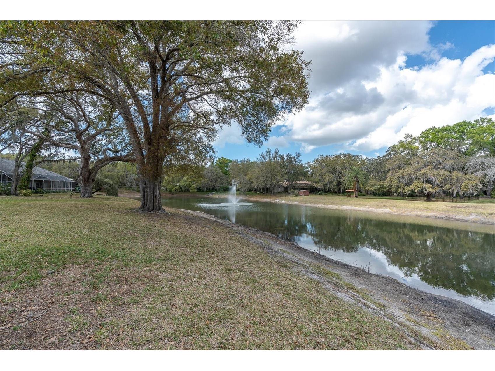 8823 Crescent Forest Boulevard New Port Richey FL 34654 W7883606 image43