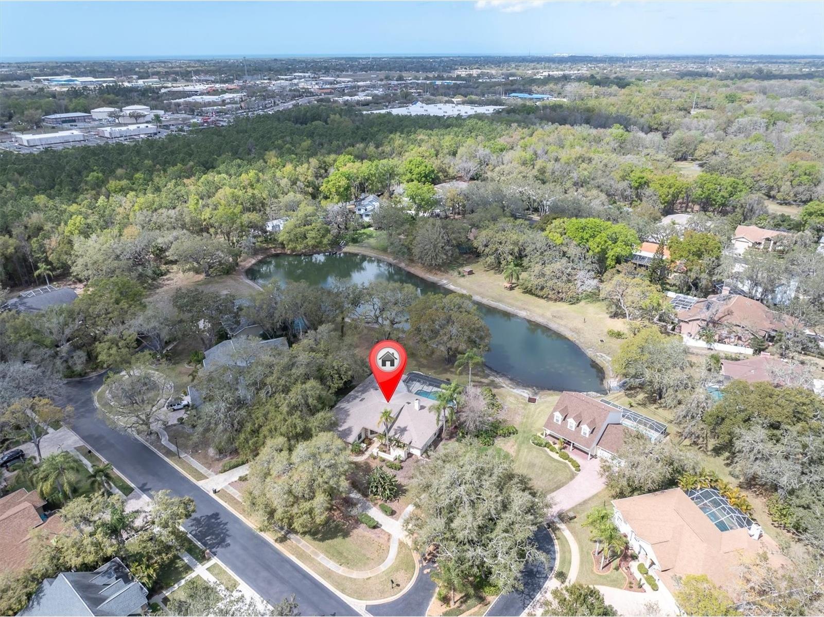 8823 Crescent Forest Boulevard New Port Richey FL 34654 W7883606 image47