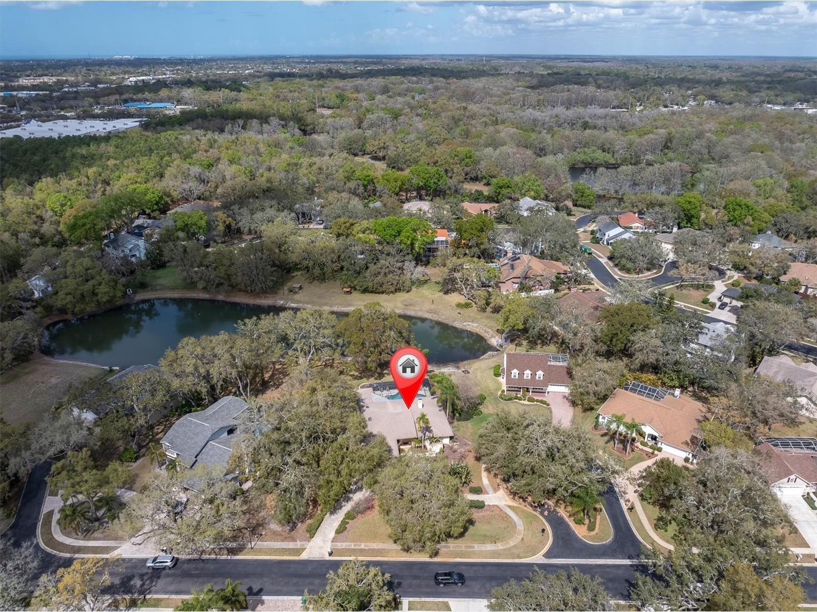8823 Crescent Forest Boulevard New Port Richey FL 34654 W7883606 image48