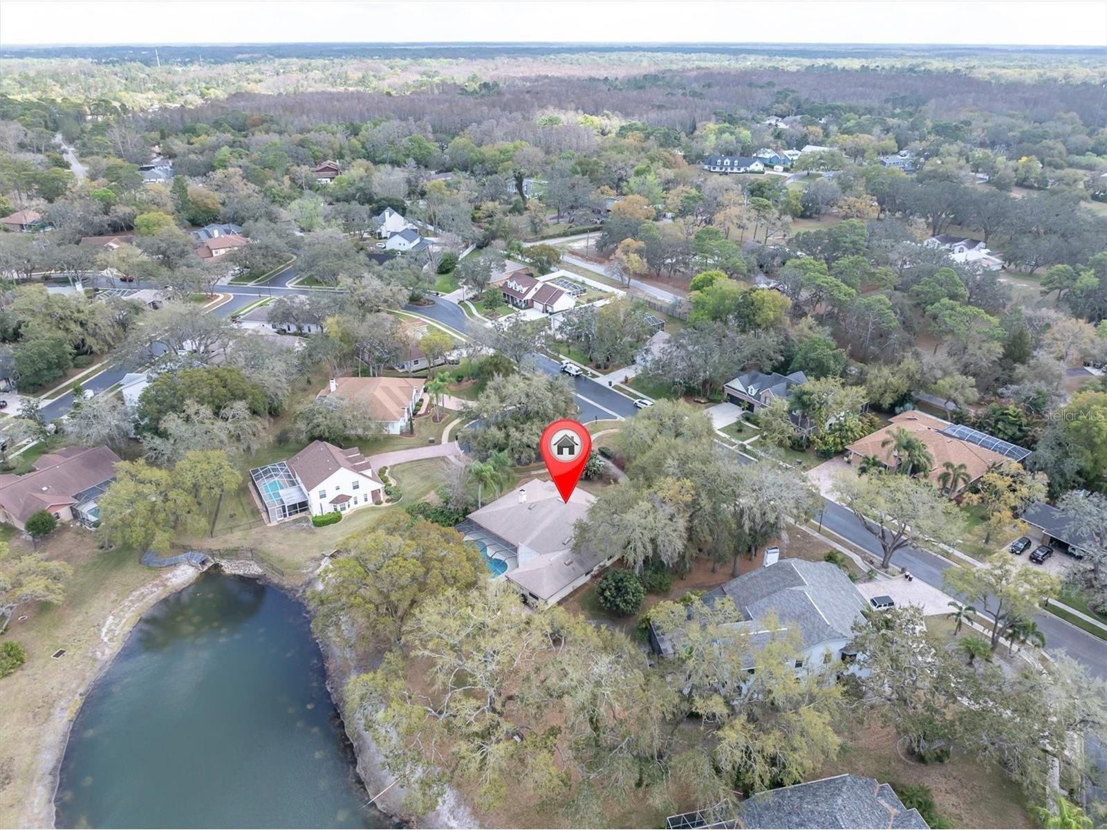 8823 Crescent Forest Boulevard New Port Richey FL 34654 W7883606 image49