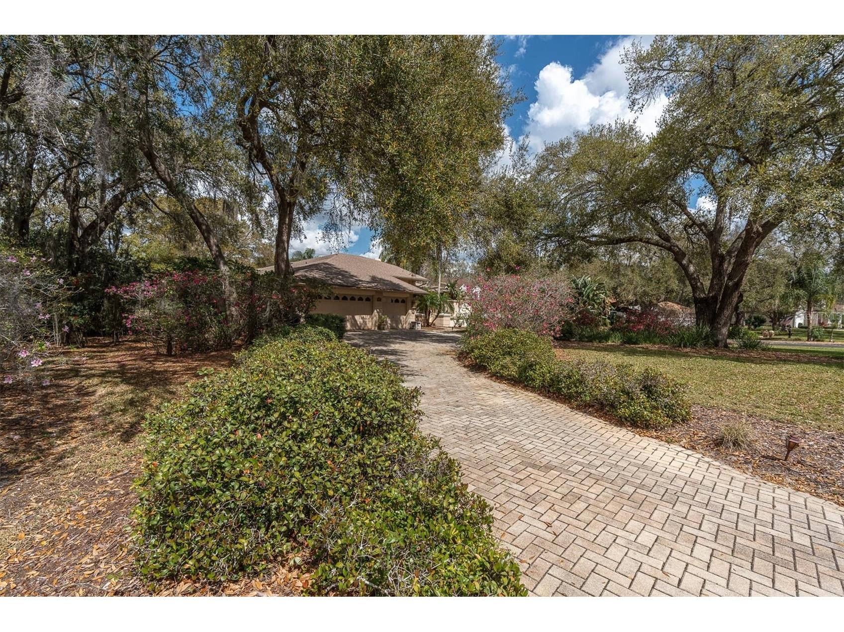 8823 Crescent Forest Boulevard New Port Richey FL 34654 W7883606 image50
