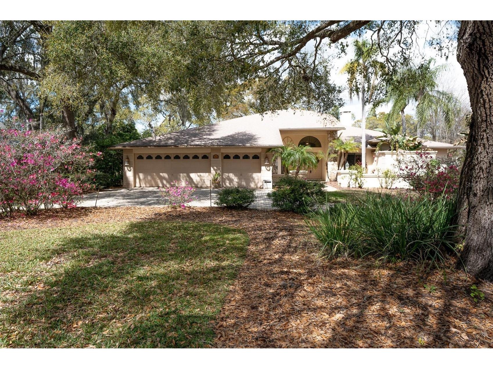 8823 Crescent Forest Boulevard New Port Richey FL 34654 W7883606 image51