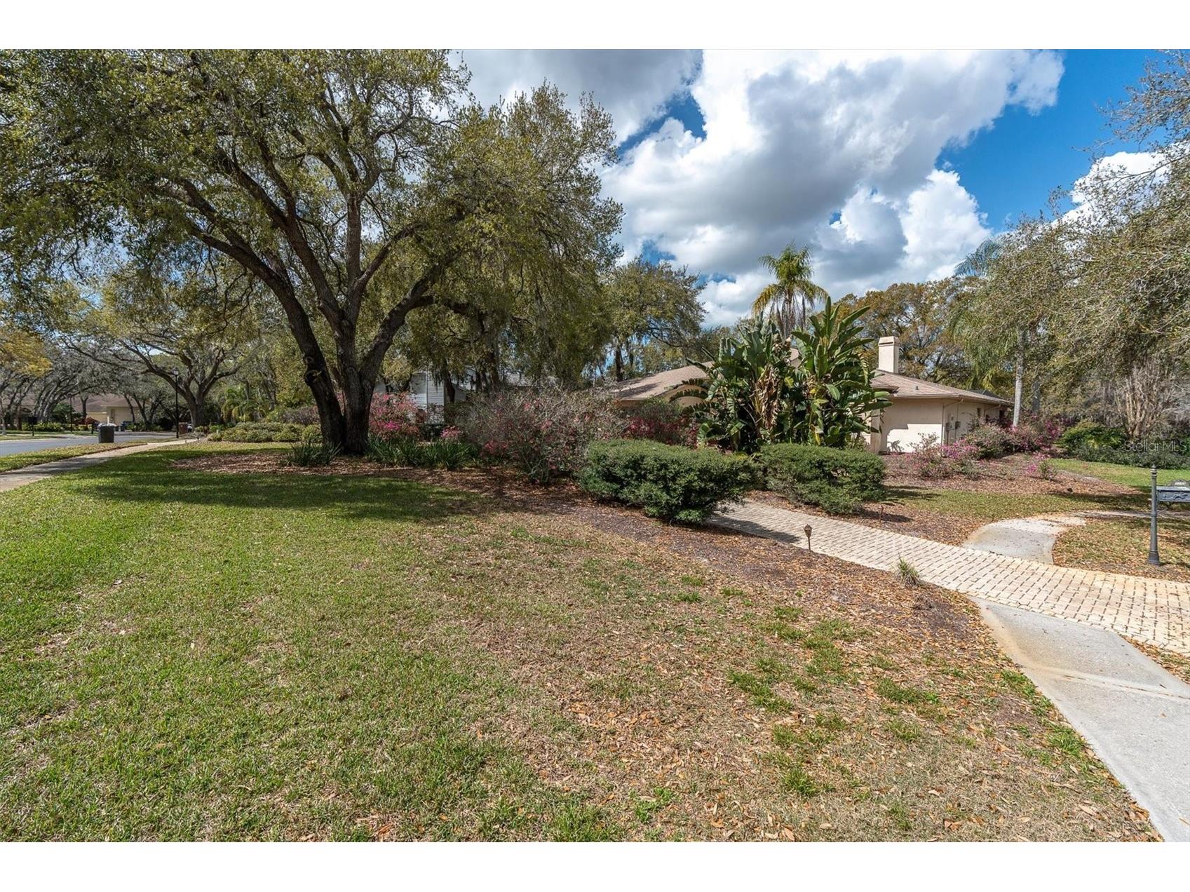 8823 Crescent Forest Boulevard New Port Richey FL 34654 W7883606 image52