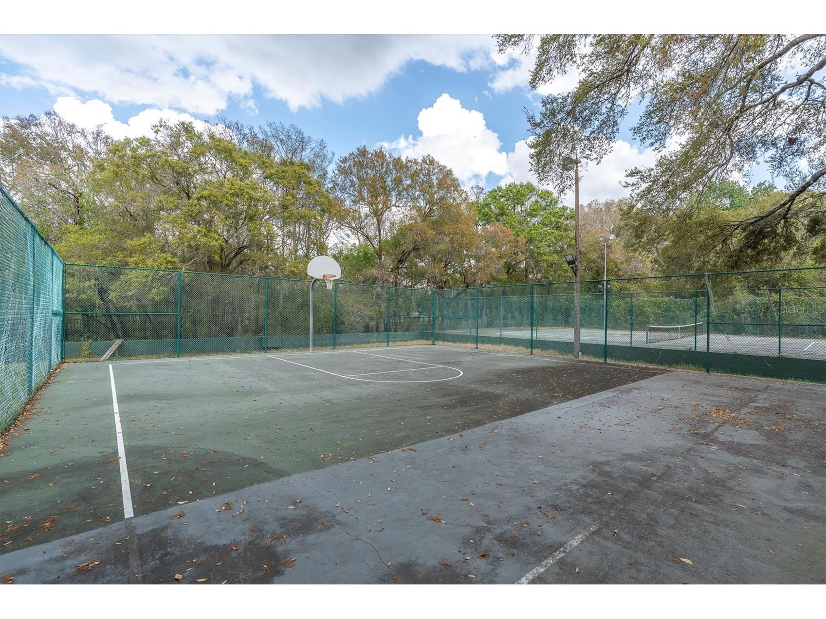 8823 Crescent Forest Boulevard New Port Richey FL 34654 W7883606 image53