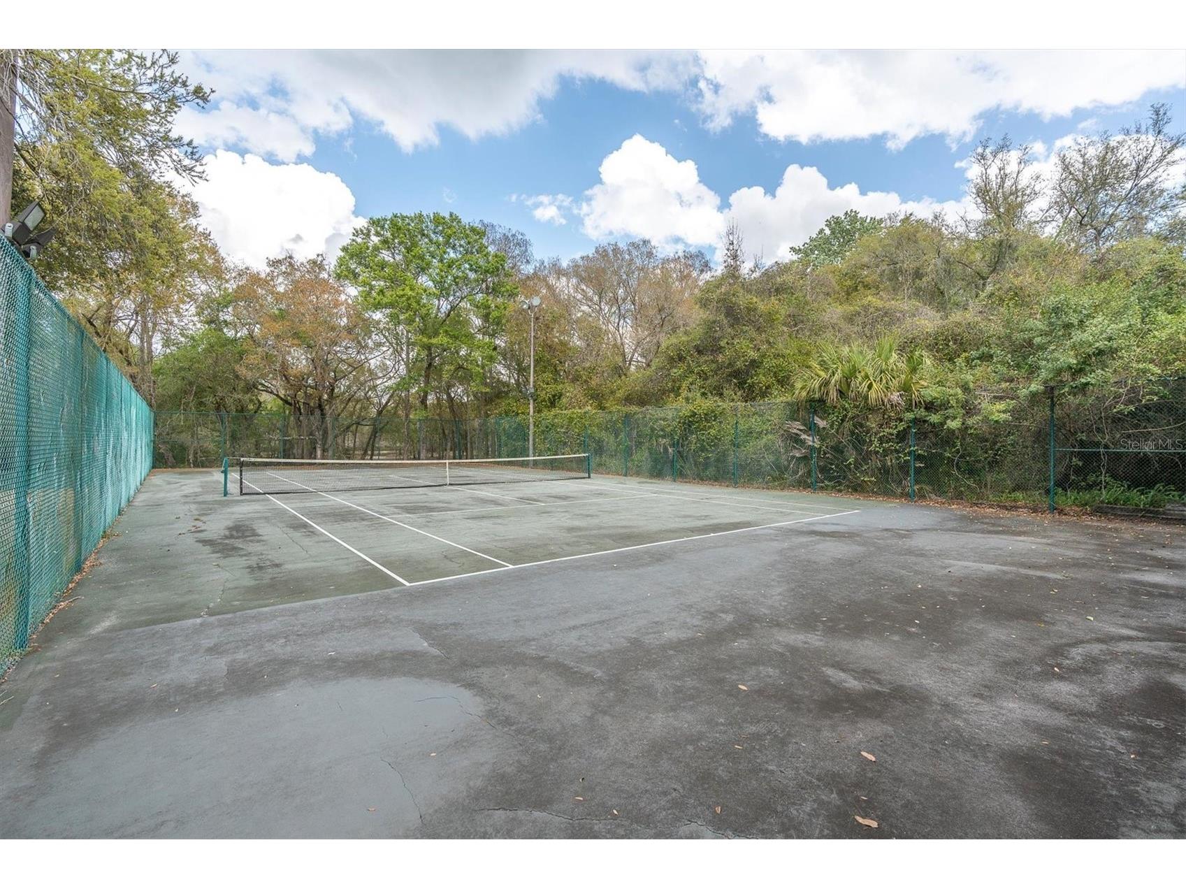 8823 Crescent Forest Boulevard New Port Richey FL 34654 W7883606 image54