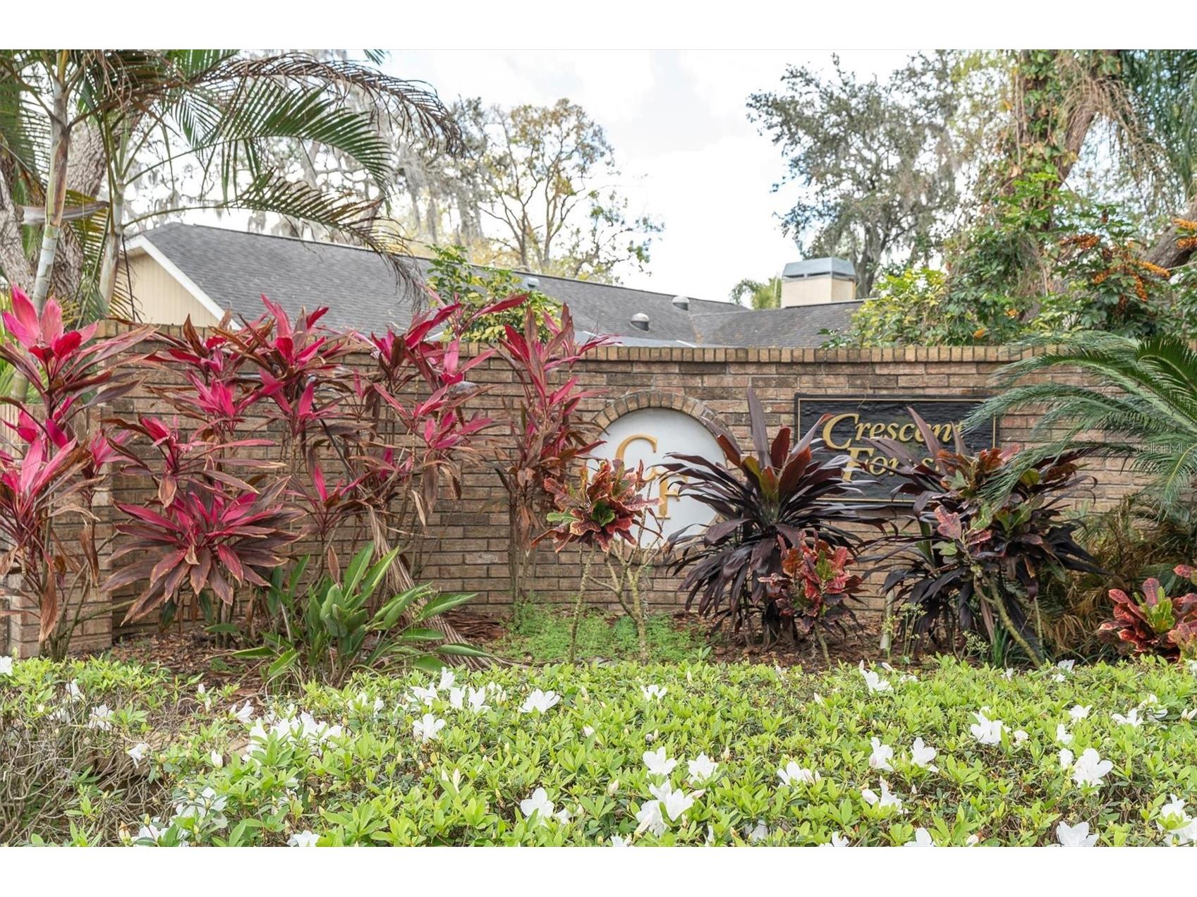 8823 Crescent Forest Boulevard New Port Richey FL 34654 W7883606 image55