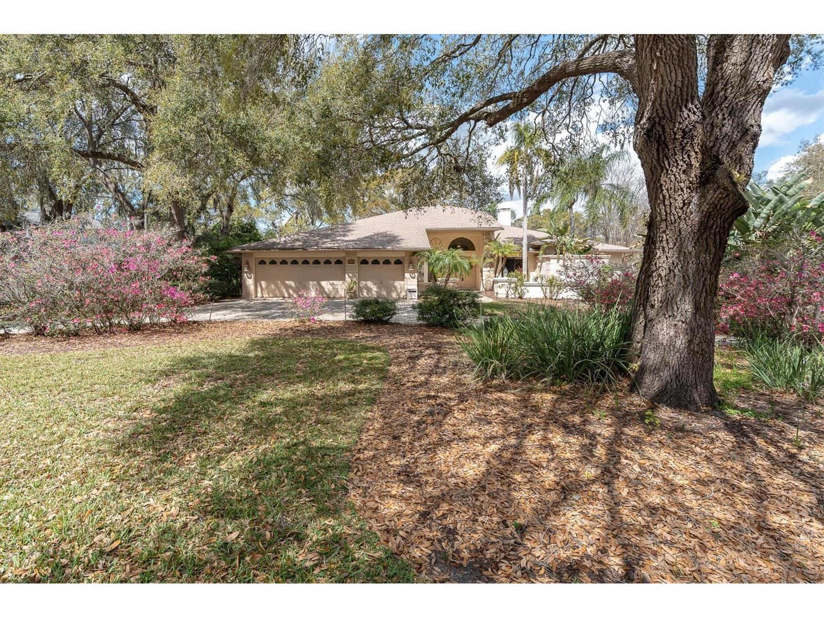8823 Crescent Forest Boulevard New Port Richey FL 34654 W7883606 image57