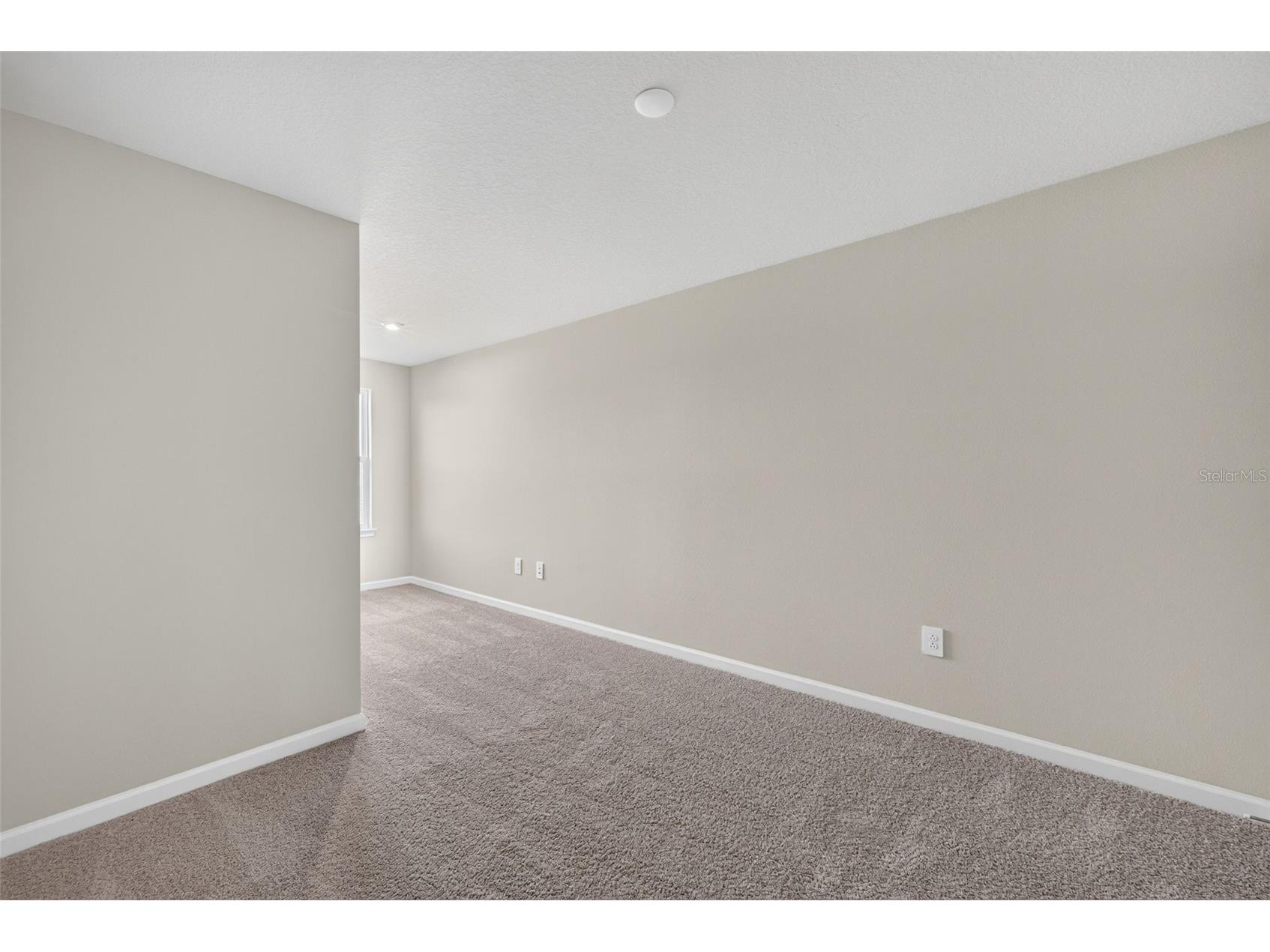 8823 Ginko Run Parrish FL 34219 TB8487105 image20
