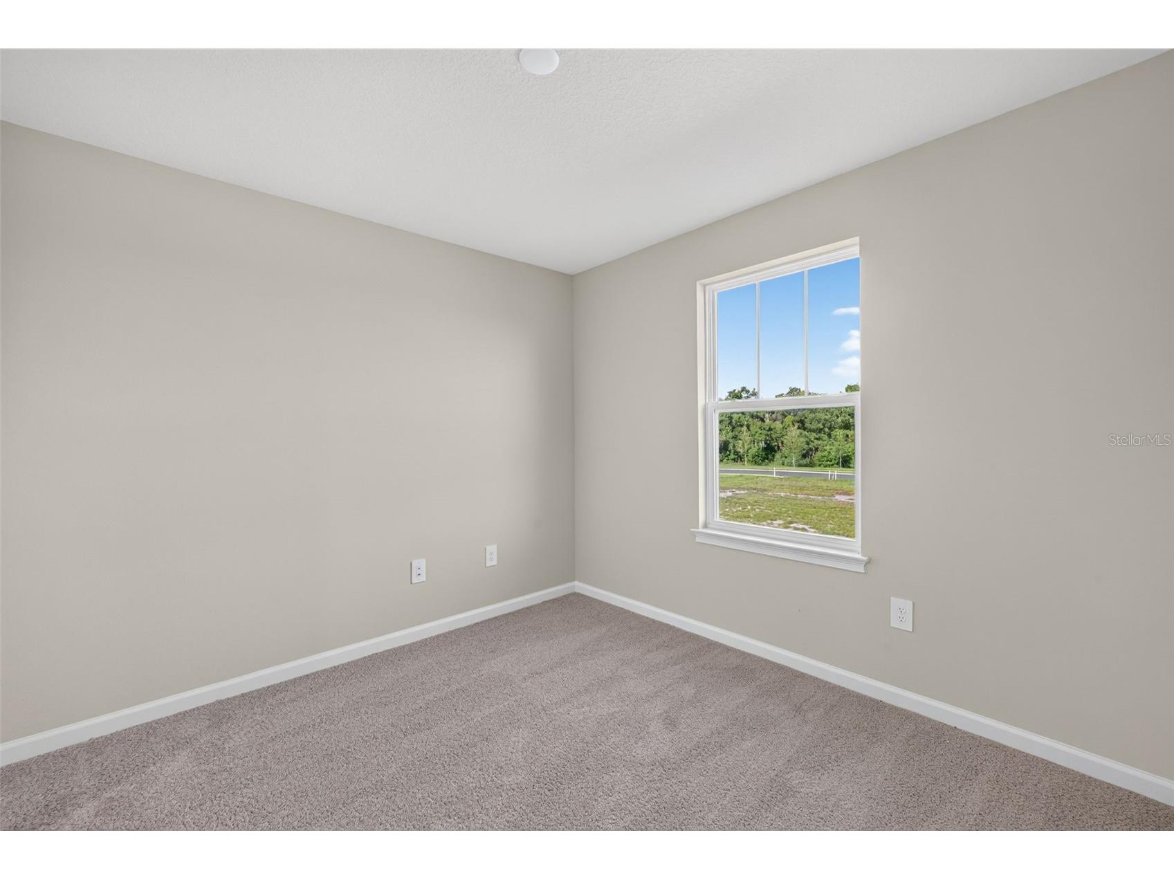 8823 Ginko Run Parrish FL 34219 TB8487105 image23