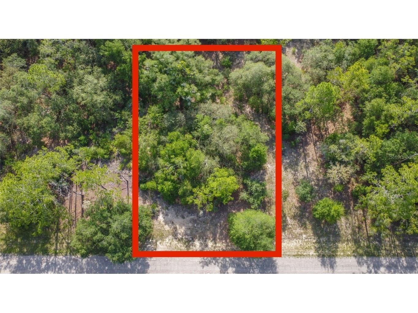 8823 N Teather Terrace Citrus Springs FL 34434 T3461483 image1