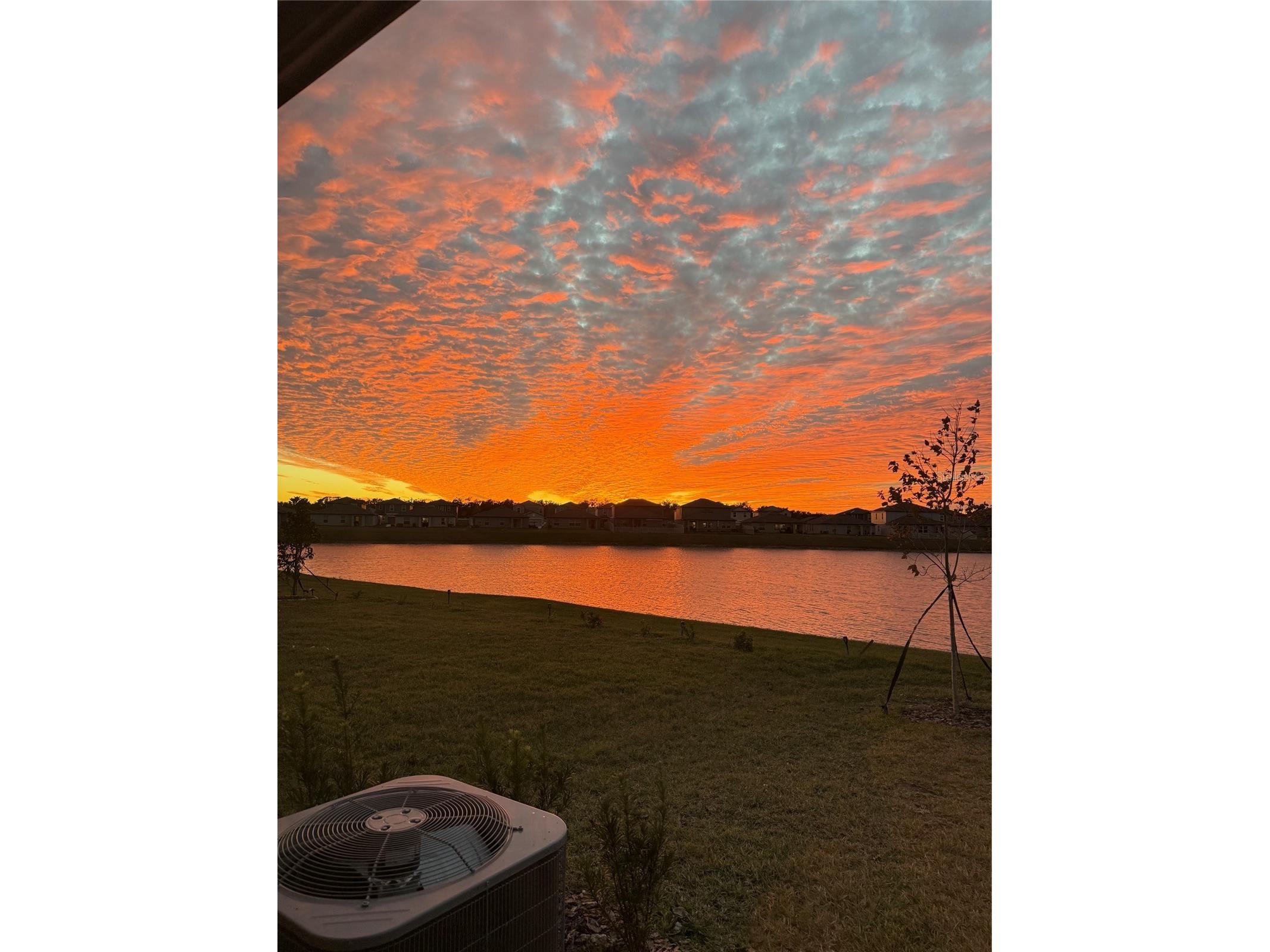 8823 Sunset Park Trail Parrish FL 34219 A4692257 image19