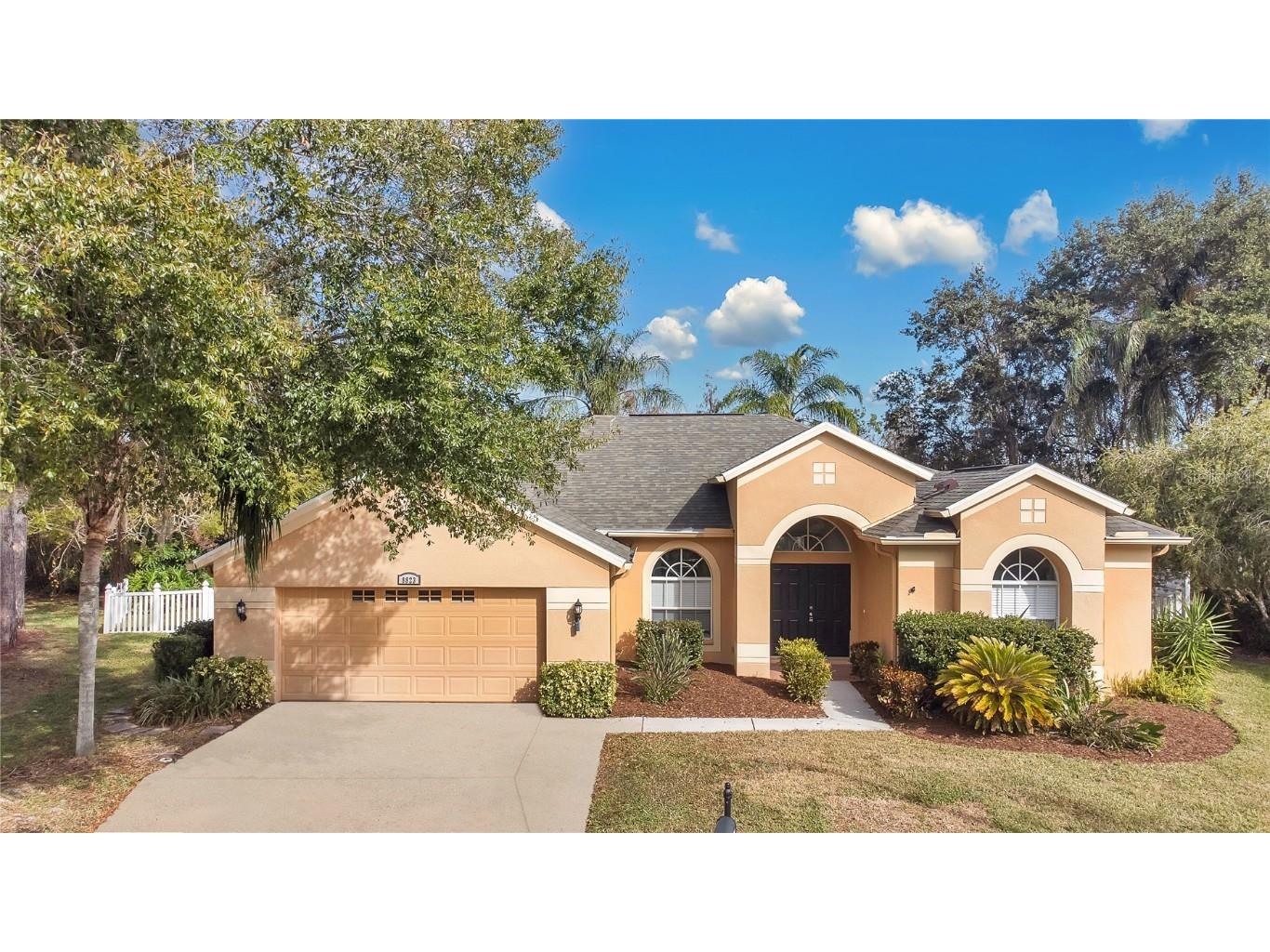 8823 Wavyedge Court Trinity FL 34655 O6258211 image1