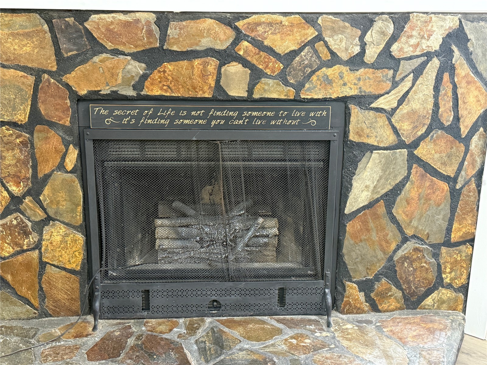 8824 Overlook Dr Wesley Chapel FL 33545 TB8481425 image12