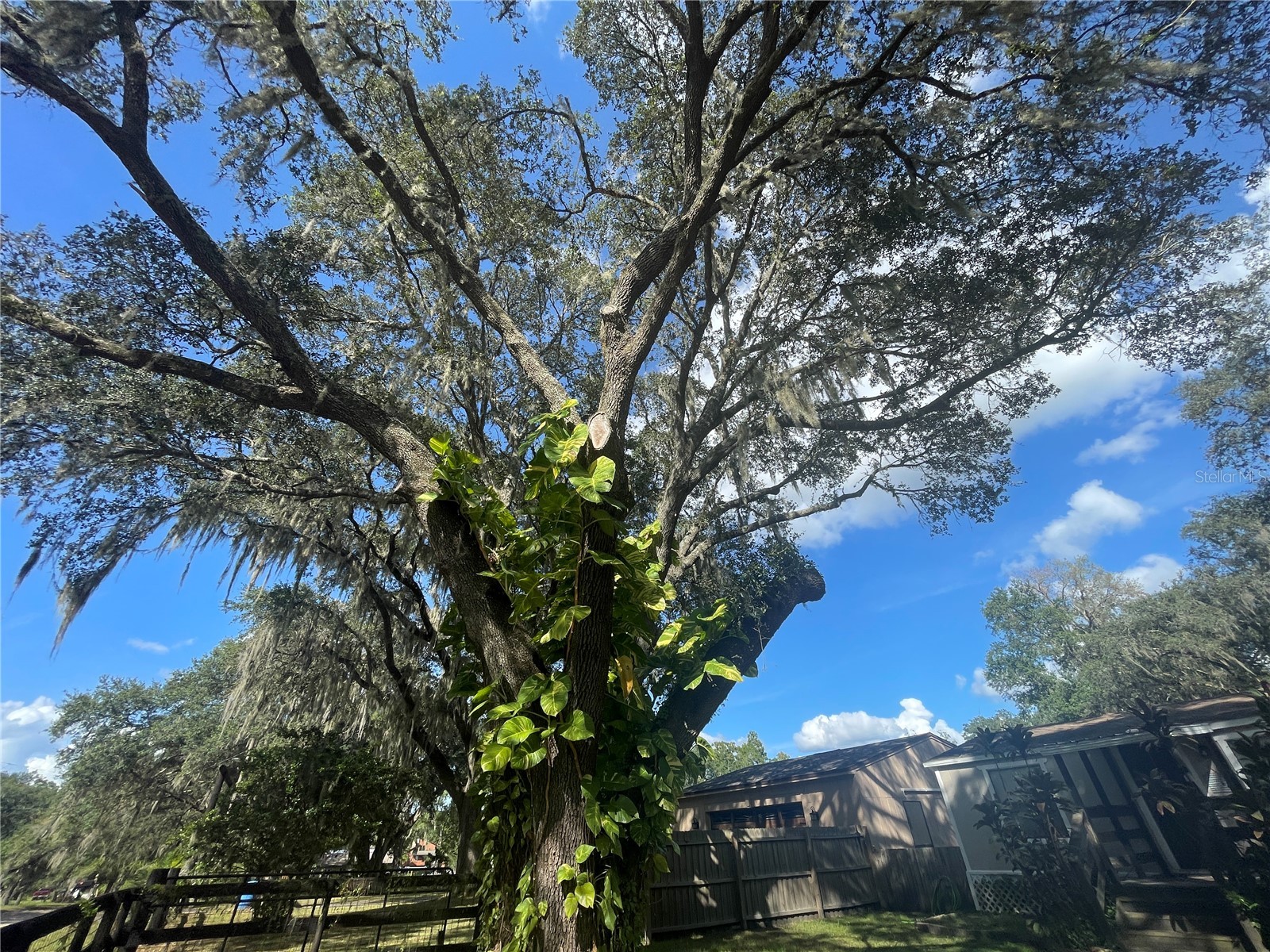 8824 Overlook Dr Wesley Chapel FL 33545 TB8481425 image33