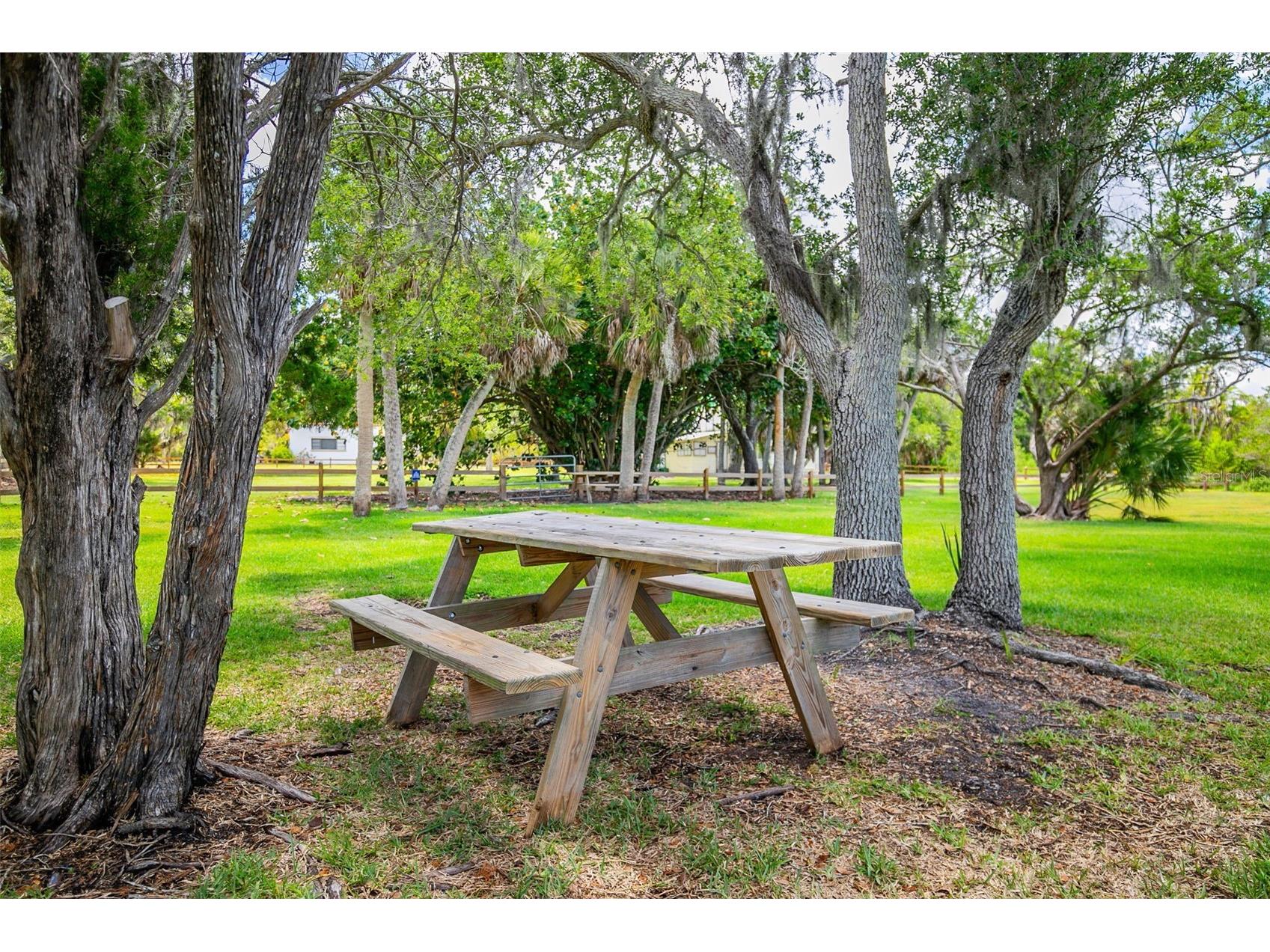 8824 Phyliss Avenue Sarasota FL 34231 A4694704 image43