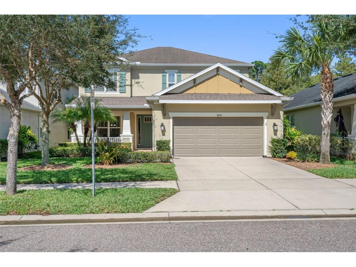 8825 Citrus Palm Drive Tampa FL 33626 T3478528 image1